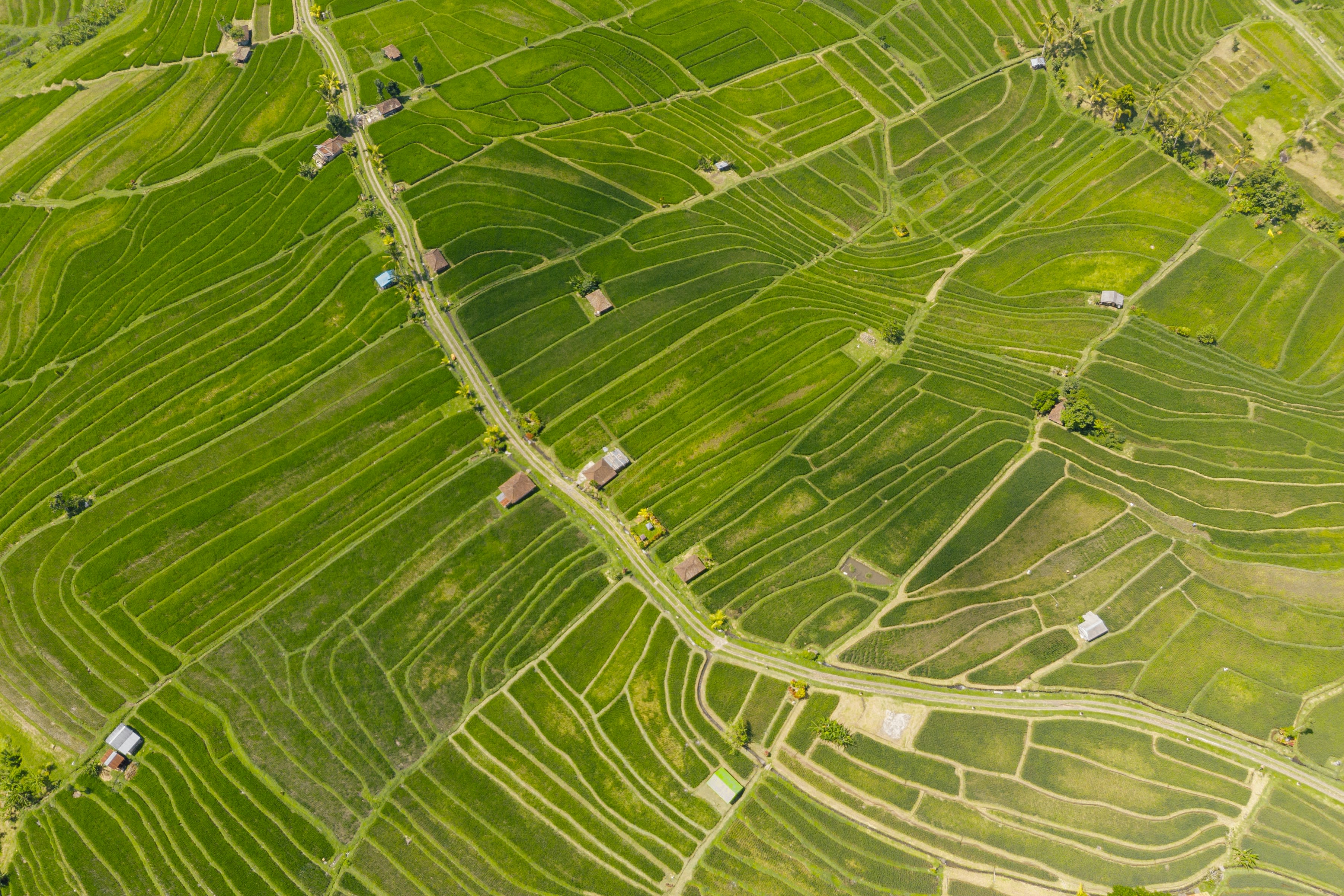 Ariel view of land